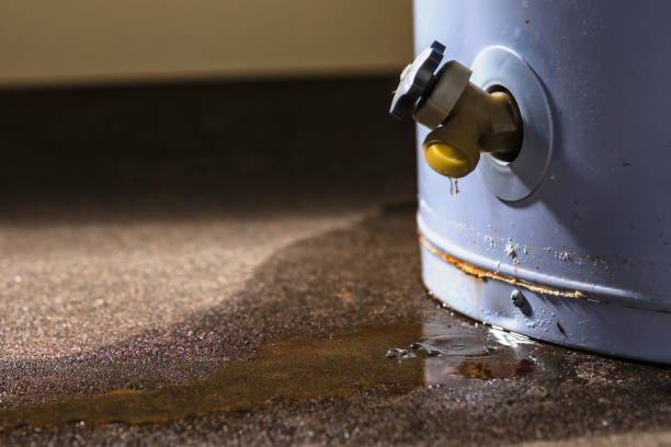 Best 24/7 water damage repair  in Upper Fruitland, NM