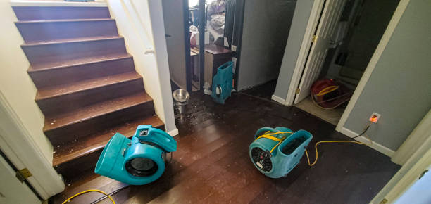 Best Sewage cleanup and water damage restoration  in Upper Fruitland, NM